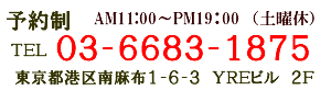 東京都港区南麻布1-6-3YREビル2F　03-6683-1875