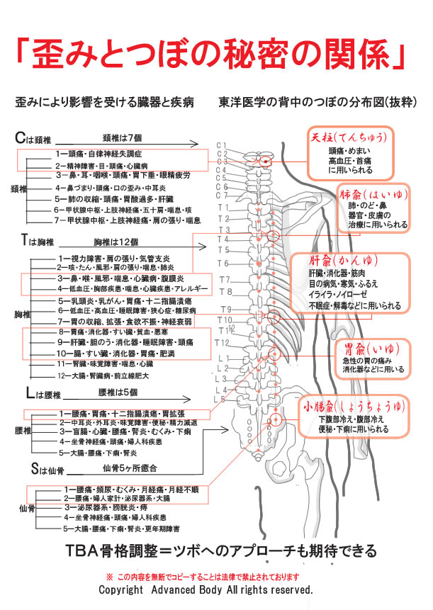 歪みとツボの秘密の関係